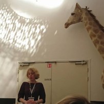 31956797_2134735653475272_8253338580538097664_n